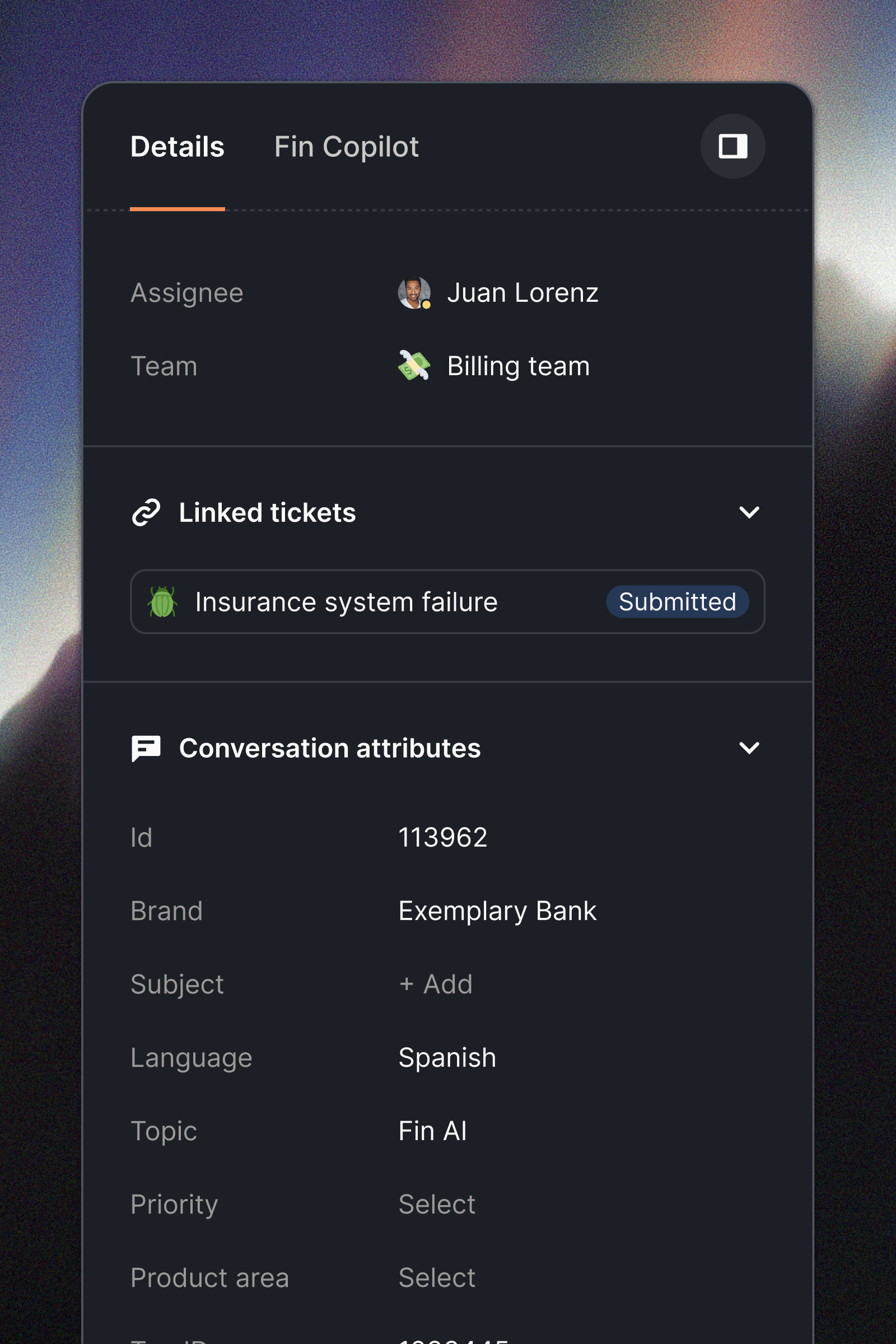 Conversation details